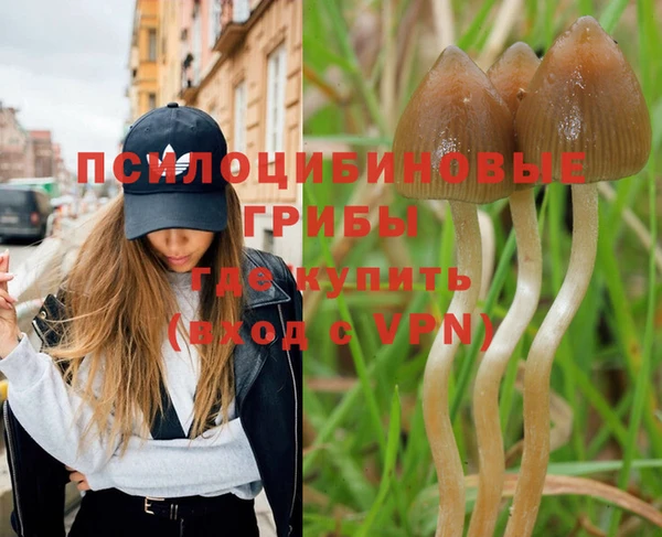 хмурый Куйбышев