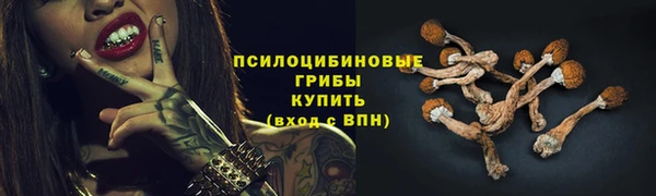 хмурый Куйбышев